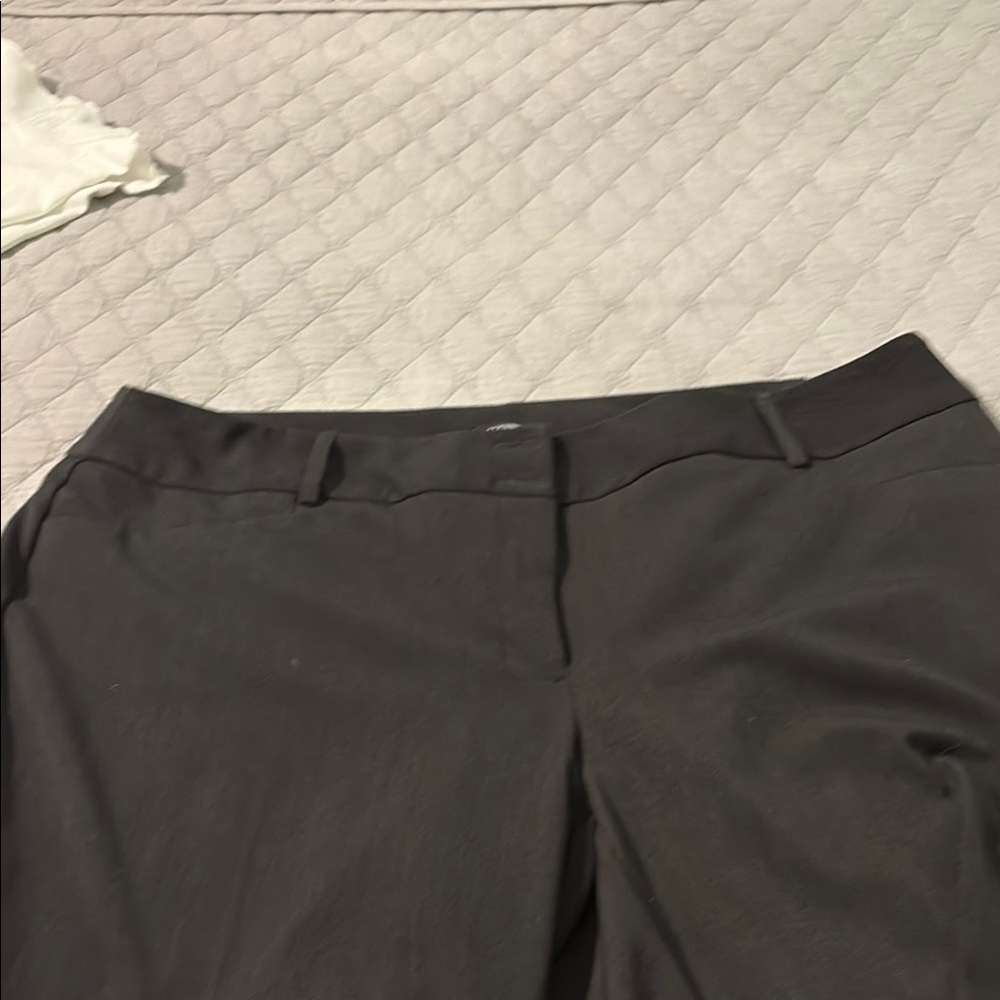 Alfani Women's Black Trousers